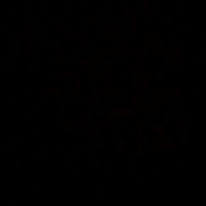 Meet your Posher, Bertha